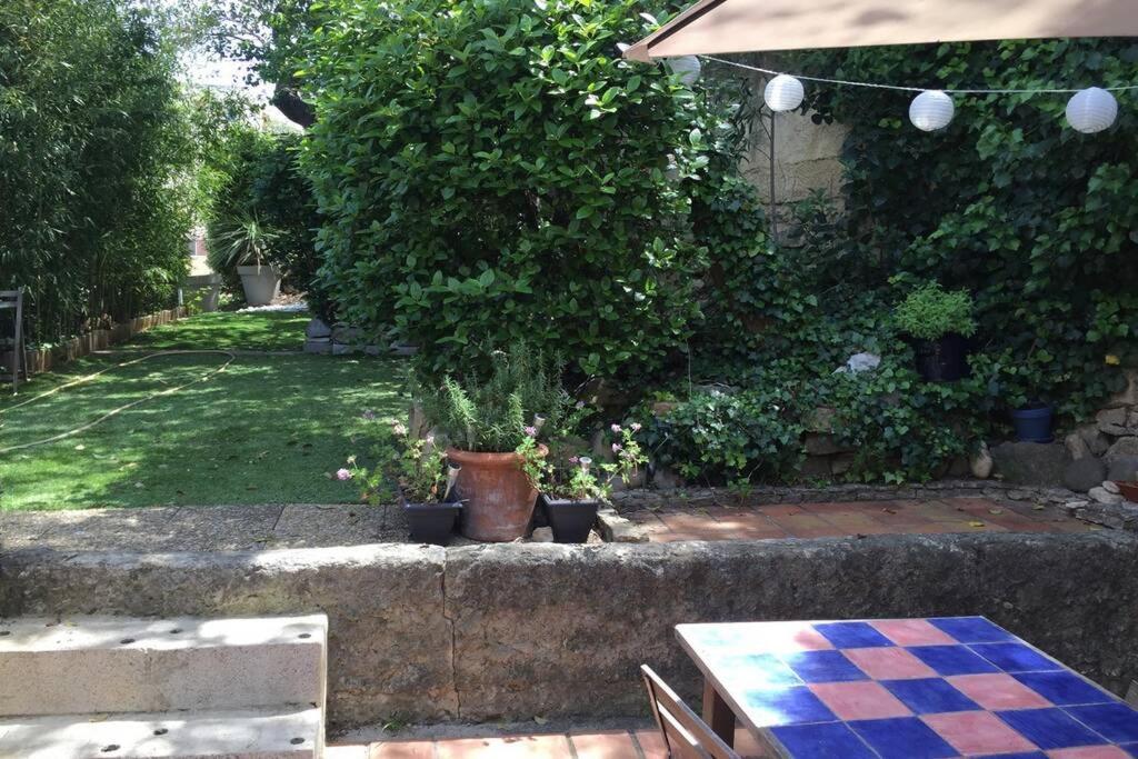 La Cassirene - Maisonnette Centre Cassis - Jardin Екстер'єр фото